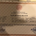 Resmi büyüt: certificate 2