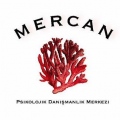 Mercan Psikolojik Danışmanlık MerkeziMaltepe - Özel Klinik