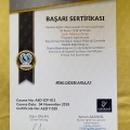 Resmi büyüt: certificate 10