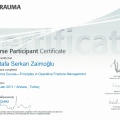 Resmi büyüt: certificate 36