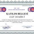 Resmi büyüt: certificate 22