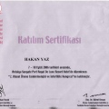 Resmi büyüt: certificate 9