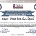 Resmi büyüt: certificate 8