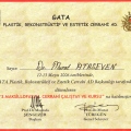 Resmi büyüt: certificate 12