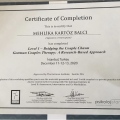 Resmi büyüt: certificate 3