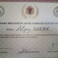 Resmi büyüt: certificate 3