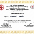Resmi büyüt: certificate 4