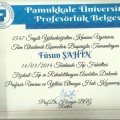 Resmi büyüt: certificate 5