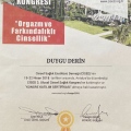 Resmi büyüt: certificate 6
