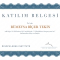 Resmi büyüt: certificate 4