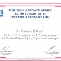 Resmi büyüt: certificate 17