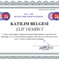 Resmi büyüt: certificate 31