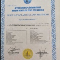 Resmi büyüt: certificate 4
