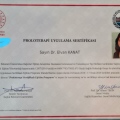 Resmi büyüt: certificate 2