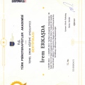 Resmi büyüt: certificate 11