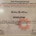 Resmi büyüt: certificate 6