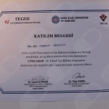 Resmi büyüt: certificate 11
