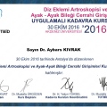 Resmi büyüt: certificate 9