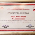 Resmi büyüt: certificate 15