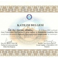 Resmi büyüt: certificate 22