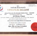 Resmi büyüt: certificate 2