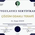 Resmi büyüt: certificate 32
