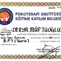 Resmi büyüt: certificate 14