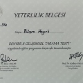 Resmi büyüt: certificate 5