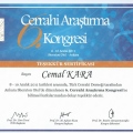 Resmi büyüt: certificate 35