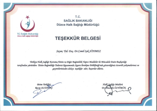 Cemil Işık Sönmez-12