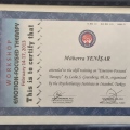 Resmi büyüt: certificate 1