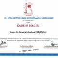 Resmi büyüt: certificate 30