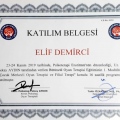 Resmi büyüt: certificate 21