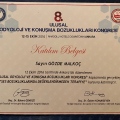 Resmi büyüt: certificate 3