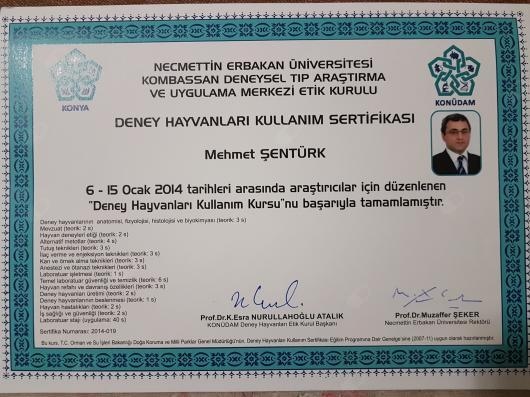 Mehmet Şentürk-0
