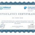 Resmi büyüt: certificate 7
