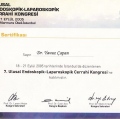 Resmi büyüt: certificate 4