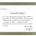 Resmi büyüt: certificate 6