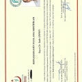 Resmi büyüt: certificate 12