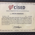 Resmi büyüt: certificate 2