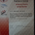 Resmi büyüt: certificate 17