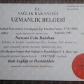Resmi büyüt: certificate 1