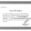 Resmi büyüt: certificate 6