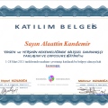 Resmi büyüt: certificate 3