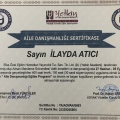 Resmi büyüt: certificate 9