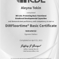 Resmi büyüt: certificate 1