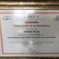 Resmi büyüt: certificate 1