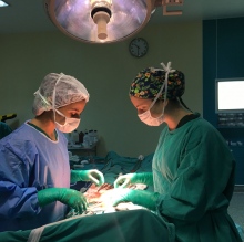 Resmi büyüt: Shahla Gasımova, Kadın Hastalıkları Ve Doğum Çiğli