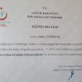 Resmi büyüt: certificate 4