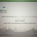 Resmi büyüt: certificate 3